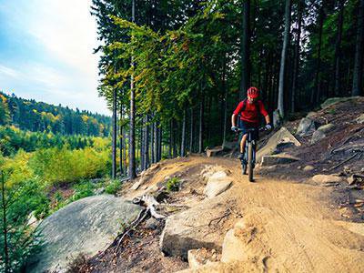 Local Area Guide https://bookbigsky.icnd-cdn.com/images/thingstodo/AdobeStock_197309927.jpg